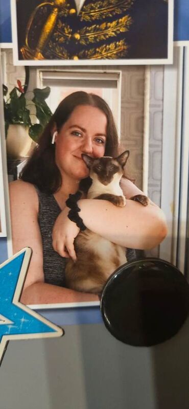 Siamese cat - Image 3 of 4